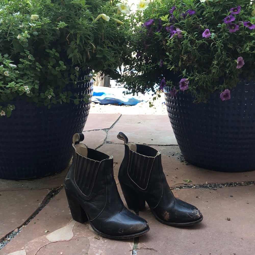 Freebird Steve Madden heeled booties